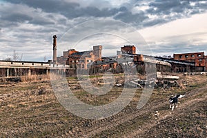 Ruins of abandoned factory