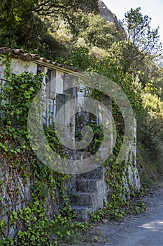 ruins of an abandoned house in a rural setting