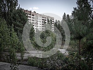 Ruins of an abandoned residential block among new grown trees in Pripyat city, Chernobyl