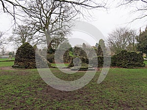 Ruins in the Abbey Gardens