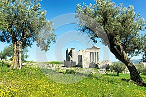 Ruins amongst Douggaâ€™s olive trees, Tunisia