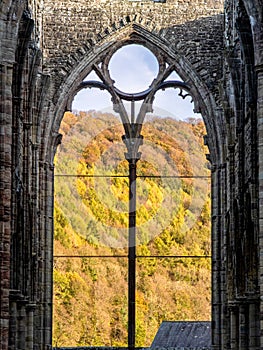 Ruins of an ancient 12th century monastery in the autumn Tintern Abbey, Wales