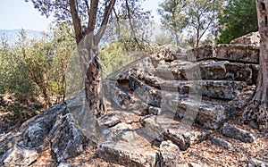 Ruins of the ancient amphitheater