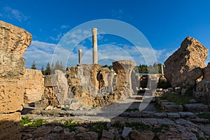 Ruins of the ancient Carthage city, Tunis, Tunisia, North Africa