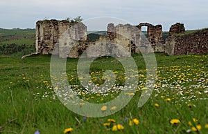 The ruins of the ancient castle are in the field, where growing spring grass and spring flowers against dark blue sky