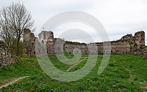 The ruins of the ancient castle are in the field, where growing spring grass and spring flowers against dark blue sky