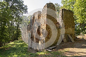Starověké ruiny v lese