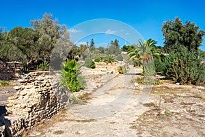 Ruins of Ancient city Carthage near Tunis, Tunisia. Archaeological site, North Africa