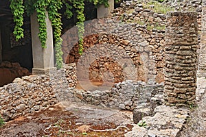 The ruins of the ancient city of Cosa in central Italy