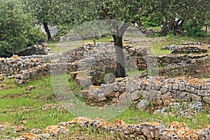 The ruins of the ancient city of Cosa in central Italy