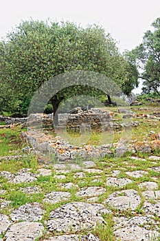 The ruins of the ancient city of Cosa in central Italy