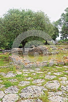 The ruins of the ancient city of Cosa in central Italy photo