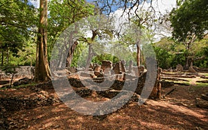 Ruins of ancient city Gede in African jungle near Watamu, Kenya