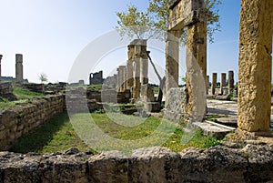 Ruins of the ancient city of Hierapolis