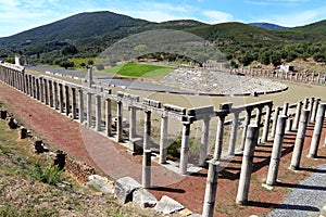 Ruins in Ancient city of Messina, Messinia, Peloponnes, Greece photo