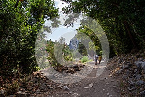 Ruins of the ancient city of Olympos in Cirali village in Antalya, Turkey. Local and foreign tourists come to visit the ancient ci