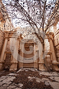 Ruins of ancient city of Palmyra - Syria