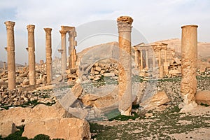 Ruins of ancient city of Palmyra - Syria