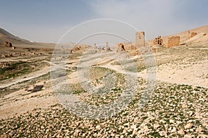 Ruins of ancient city of Palmyra - Syria