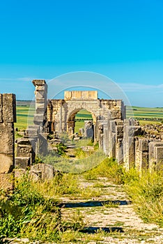 In the ruins of ancient city Volubilis - Morocco