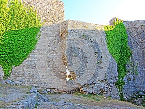 The ruins of an ancient fortress. old thick stone walls of a European fortress overgrown with greenery in the mountains. Doors and