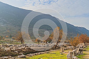 Ruins of the Ancient Greek city of Ephesus near SelÃ§uk, Turkey