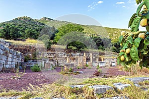 Ruins of the ancient Greek city of Messenia, Peloponnese, Greece