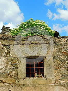 ruins of ancient houses in La Carballeda, Zamora photo