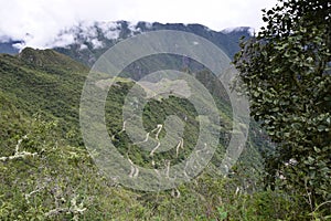 Ruins of the ancient Inca city machu picchu in fog, Peru