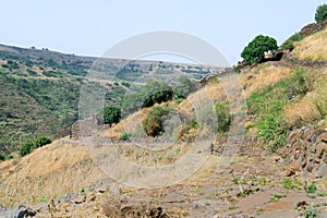 The ruins of the ancient Jewish city of Gamla on the Golan Heights destroyed by the armies of the Roman Empire