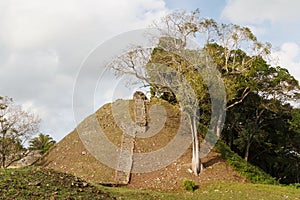 Ruins of the ancient Mayan archaeological site Altun Ha