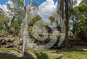 The ruins of the ancient Mayan city of Kohunlich, Quintana Roo, Mexico