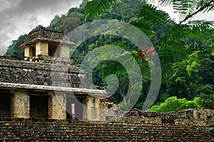 The ruins of the ancient Mayan city of Palenque, Mexico photo