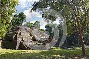 Ruins of the ancient Mayan city Yaxha photo