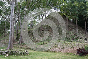 Ruins of the ancient Mayan town Cerros photo
