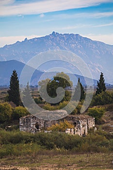 In the ruins of ancient Miletus town