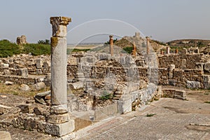 Ruins of the ancient Roman town Bulla Regia