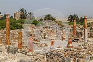 Ruins of the ancient Roman town Bulla Regia