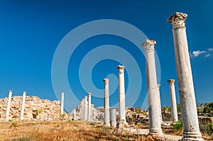 Ruins of ancient Salamis city. Famagusta district. Cyprus