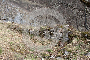 The ruins of an ancient stone Klek fortress on the hill near Zlatar mountain, Serbia photo