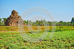 The ruins of the shrine, Ava, Myanmar