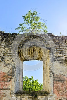 Ruins of an ancient synagogue Shabtai rabbi with arched window, against blue sky. Tree growing on wall.