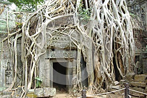 Ruins of ancient temple. Angkor wat, Cambodia