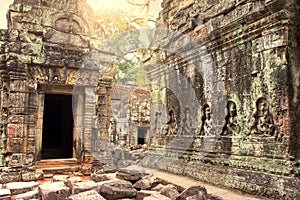 Ruins of ancient temple lost in jungle