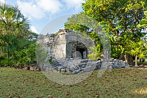 Ruins of ancient Xaman Ha Architecture of ancient maya. Lush greenery of nature. Travel photo. Wallpaper or background. Yucatan.