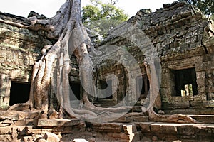 Ruins of Angkor, Siem Reap photo