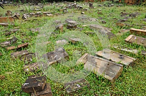 The ruins of The Angkor Wat