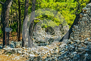 Phaselis in Antalya, Turkey photo