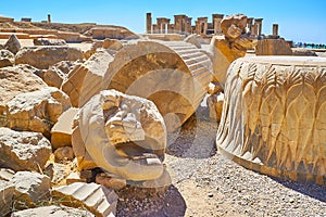 The ruins of Apadana, Persepolis, Iran