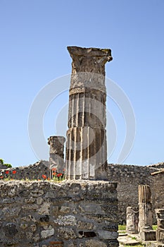Column, Archeological site of Pompeii, Italy
